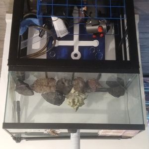 Fish tank 40 gal.with stand